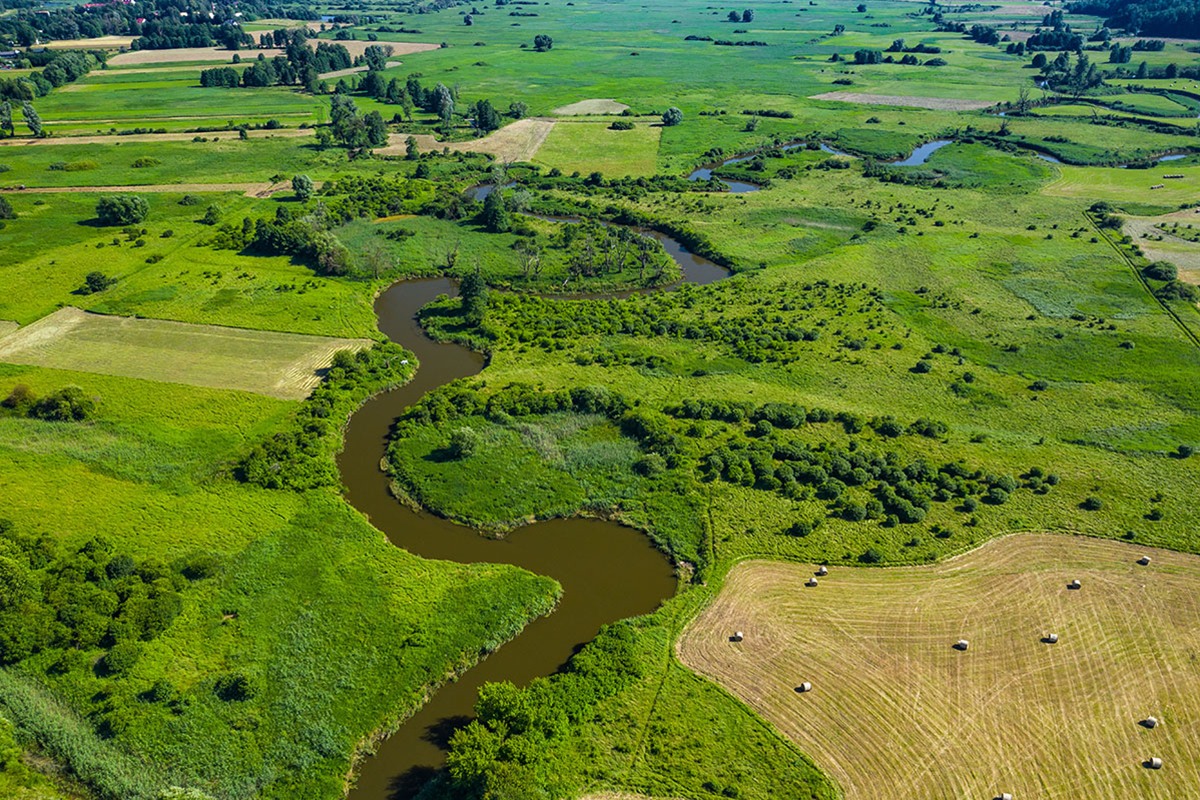 Aerial view of a brown river meandering through green wetland and meadows, with a mown hay field dotted with round bales in the foreground