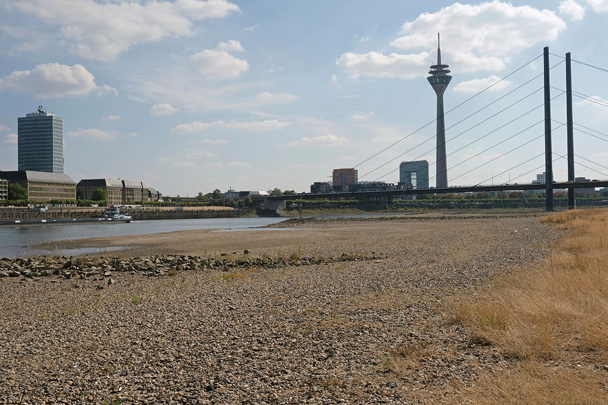 Exposed gravel riverbed of the Rhine at Düsseldorf during a drought, with the Rheinturm tower and a cable-stayed bridge beyond a narrowed channel